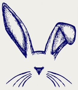 rabbit